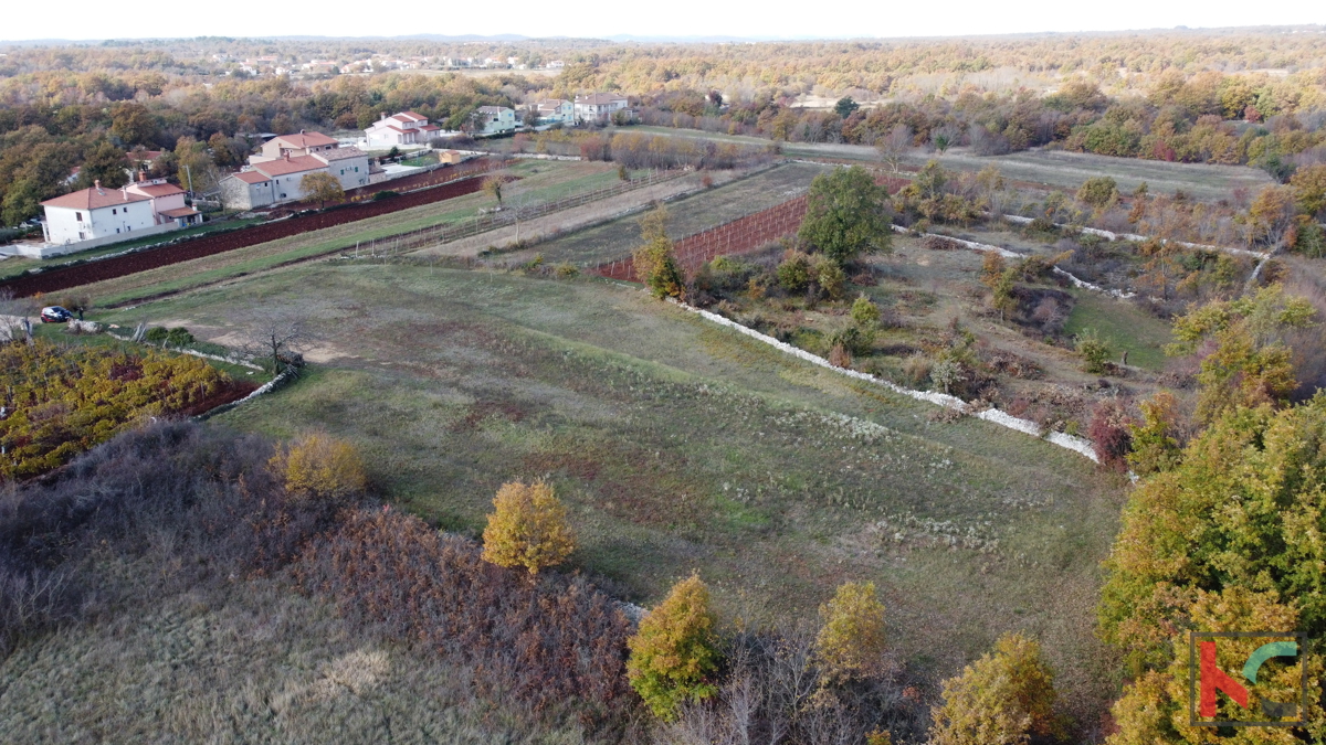 Istria - Svetvincenat, terreno 5700m2 in una posizione tranquilla